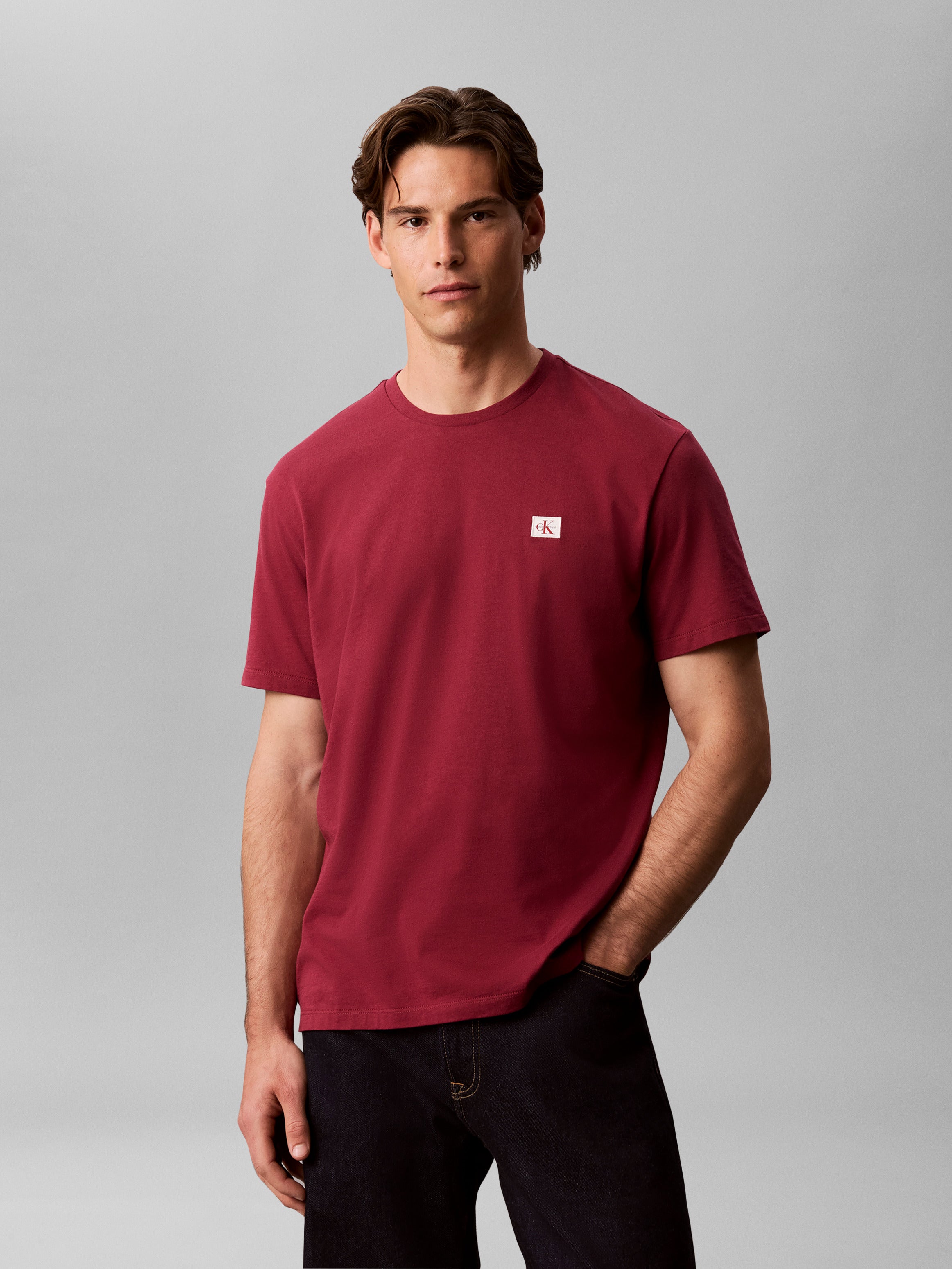 Calvin Klein Jersey Badge T-Shirt RC272G
