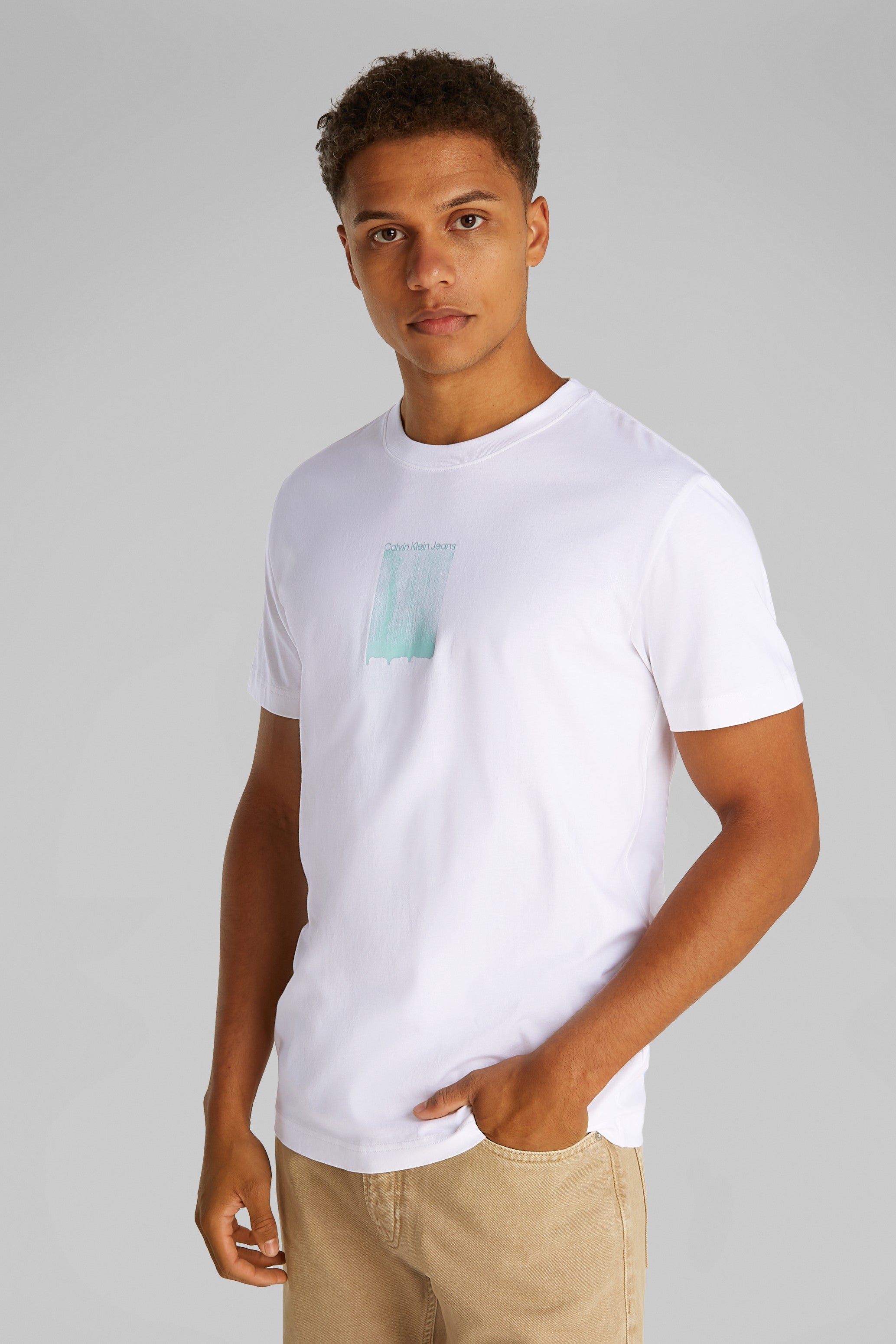 Calvin Klein Bush Stroke Graphic T-Shirt