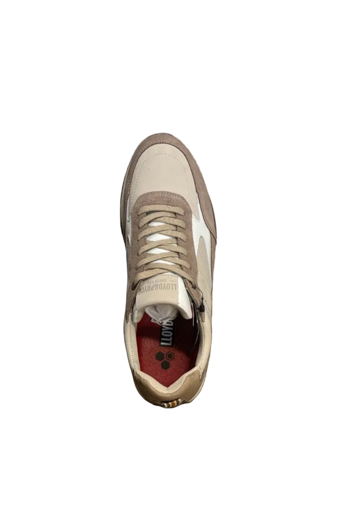 Tommy Bowe Lloyd & Pryce Piasami Trainer