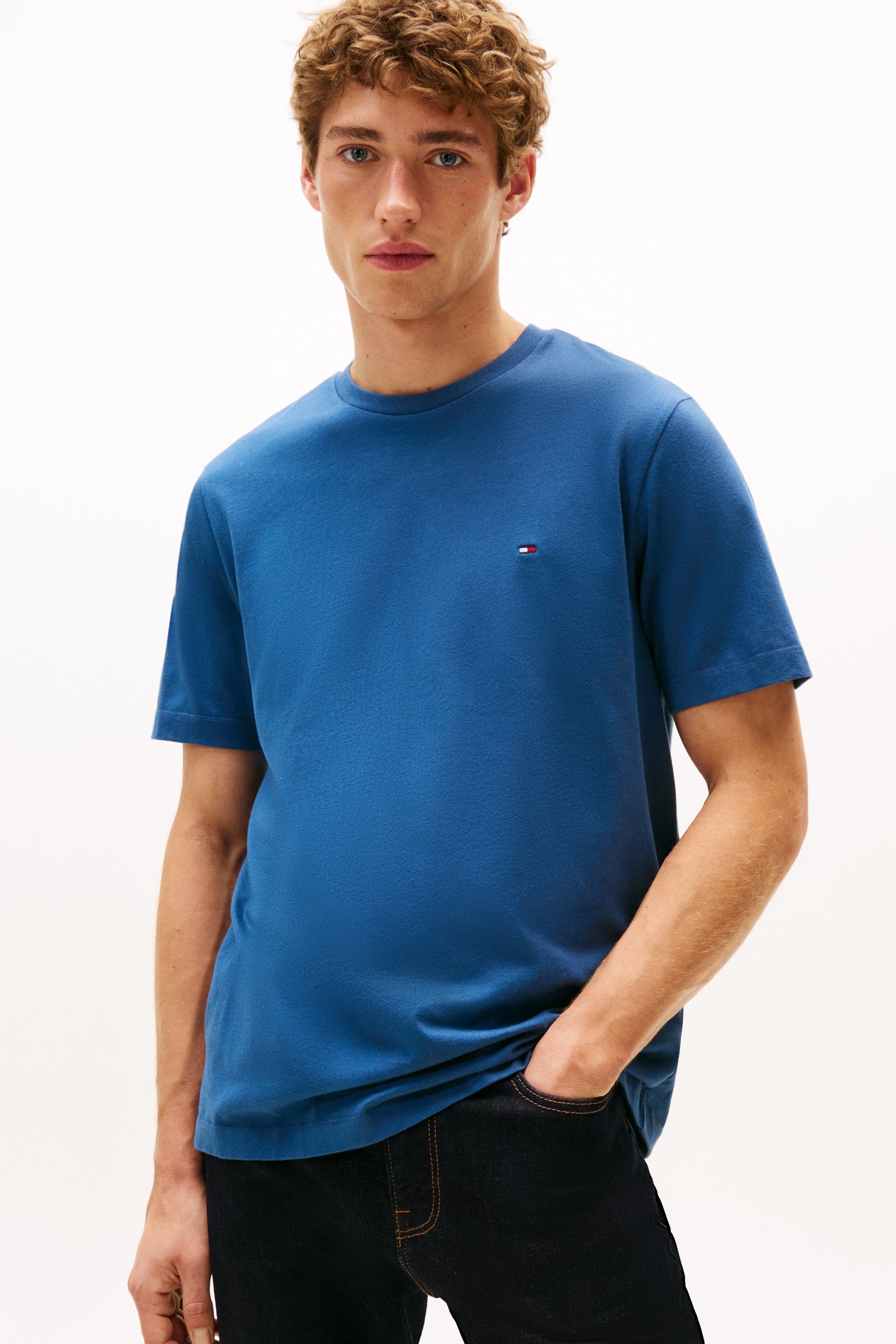 Tommy Hilfiger Regular Fit Solid T-Shirt