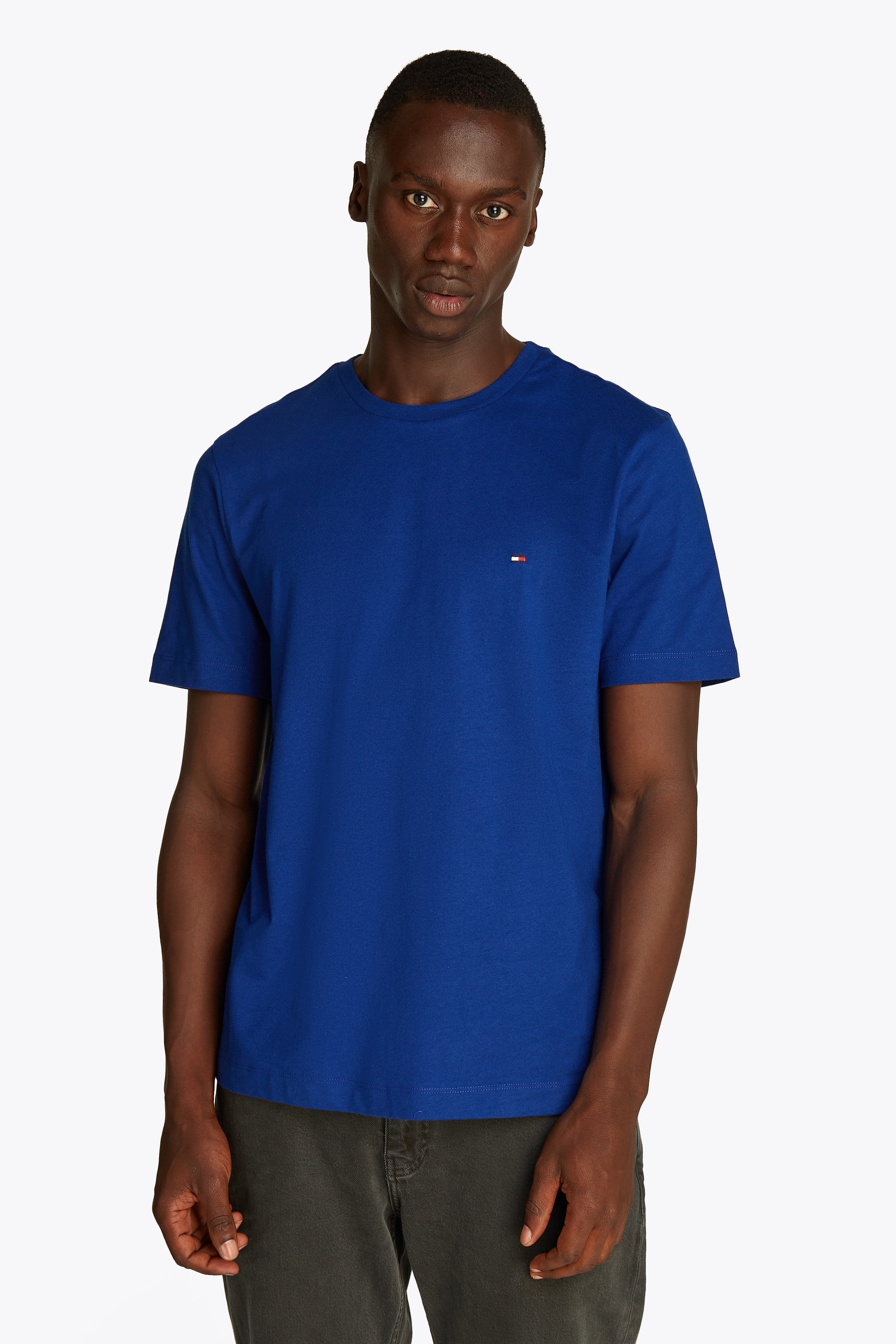 Tommy Hilfiger Regular Fit Solid Tee