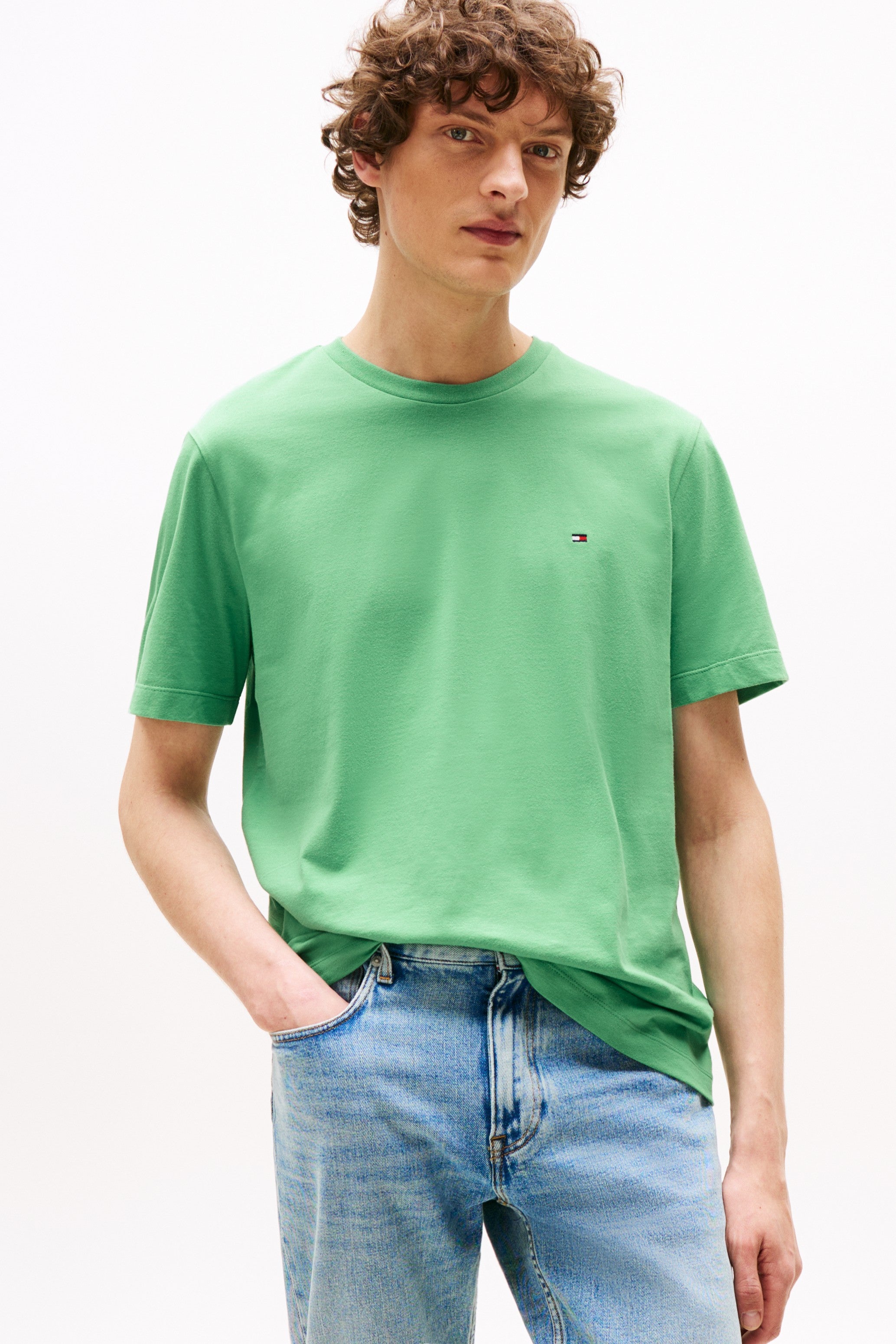 Tommy Hilfiger Regular Fit Solid Tee