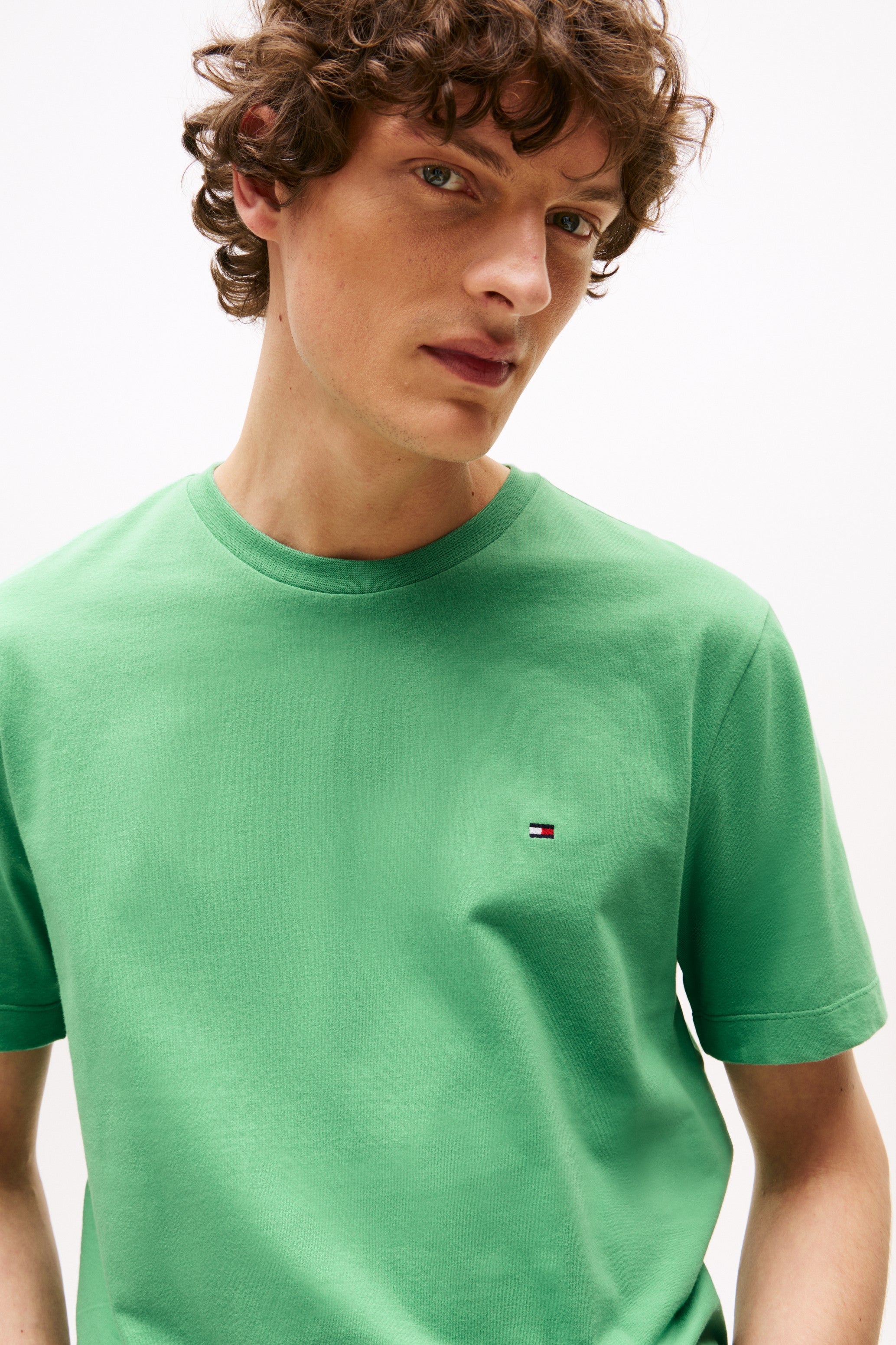 Tommy Hilfiger Regular Fit Solid Tee