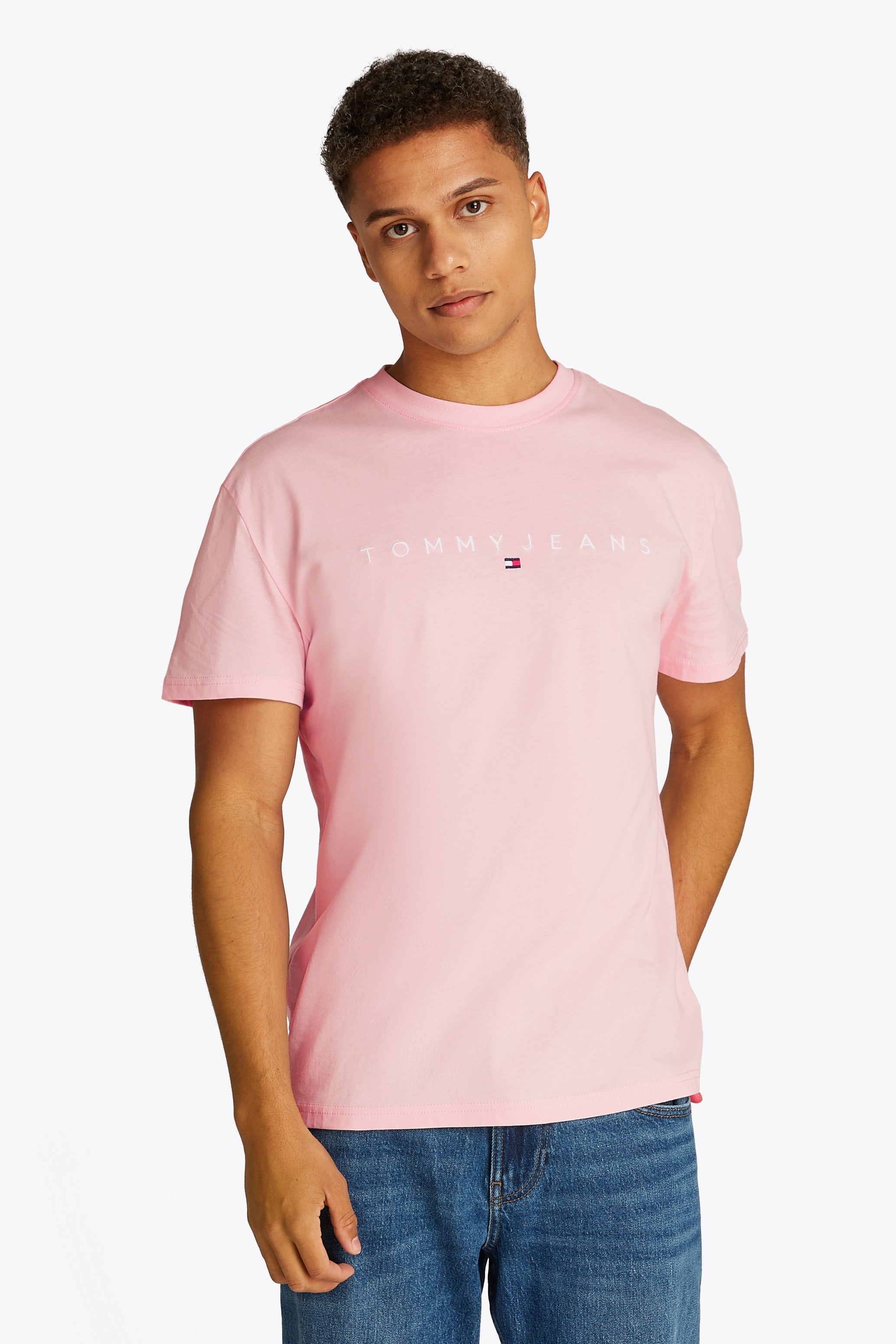 Tommy Jeans Regular Linear Logo T-Shirt