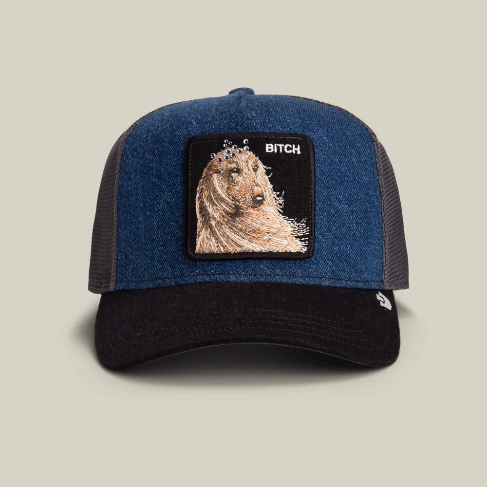Goorin Bros Hound Dawg Trucker Hat