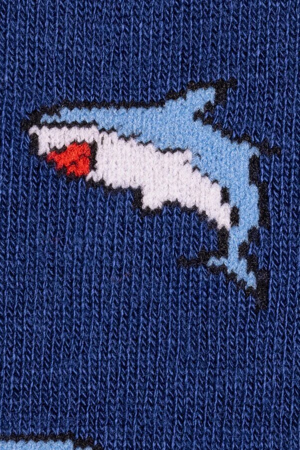 swole_panda_bluesharksocks_3