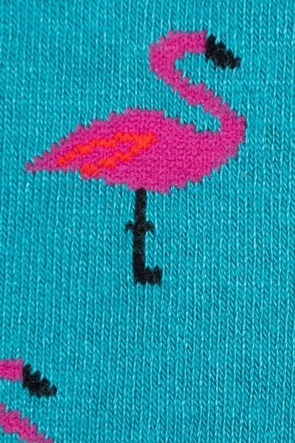 swole_panda_flamingosocks_SP2903