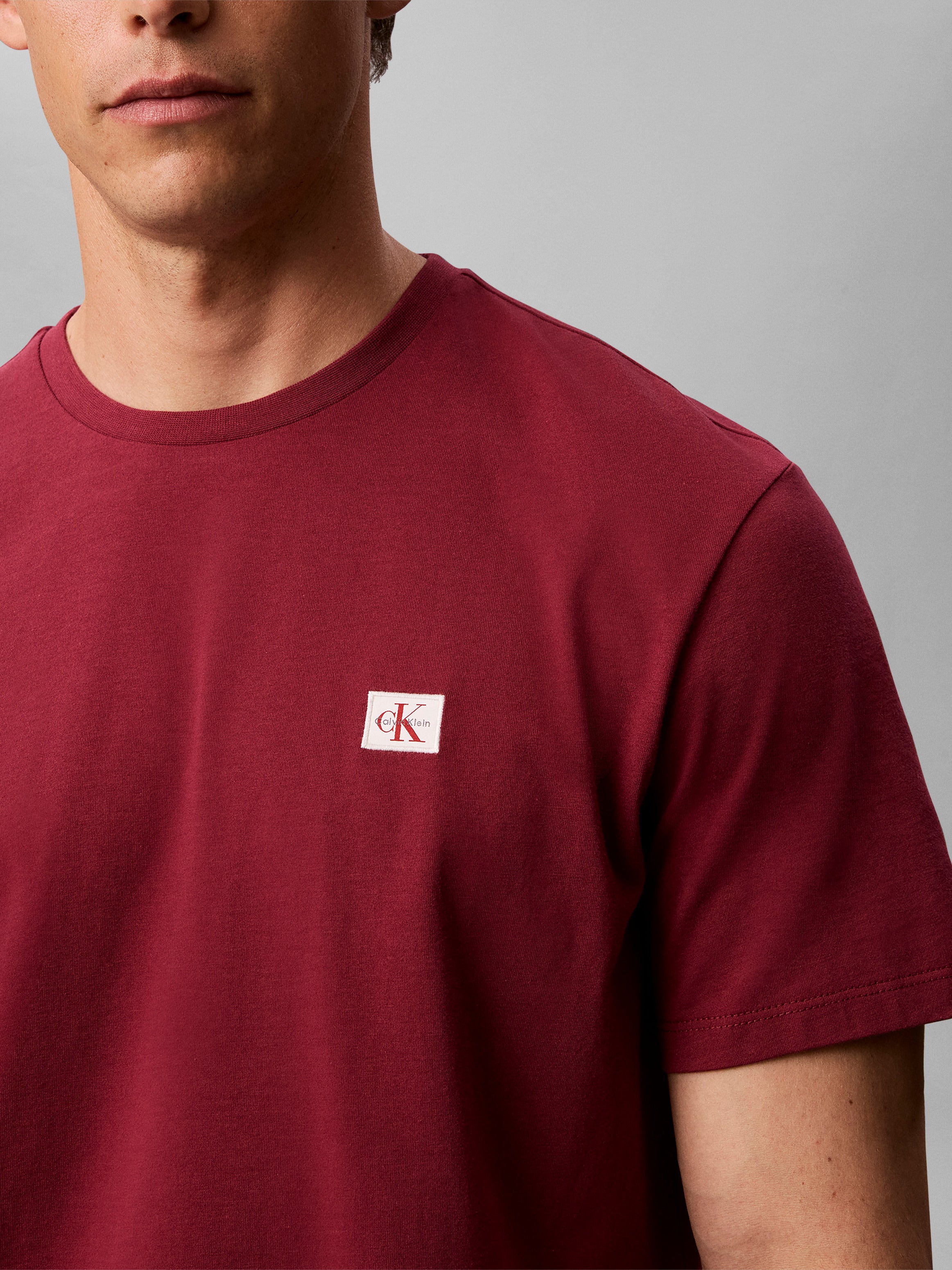 Calvin Klein Jersey Badge T-Shirt RC272G