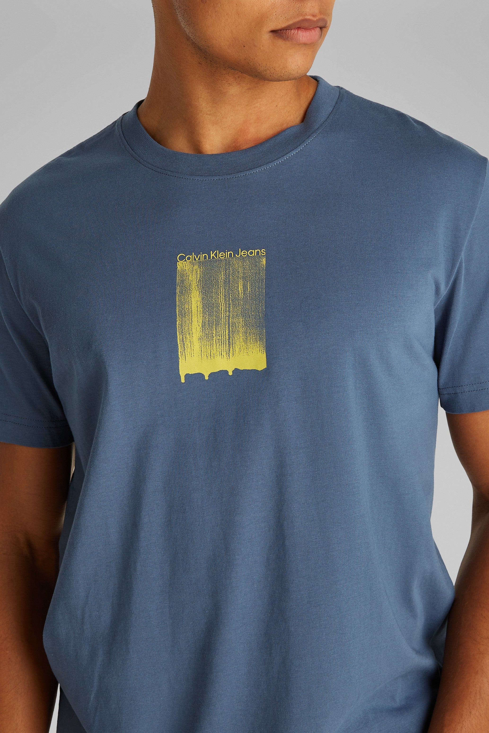 Calvin Klein Bush Stroke Graphic T-Shirt