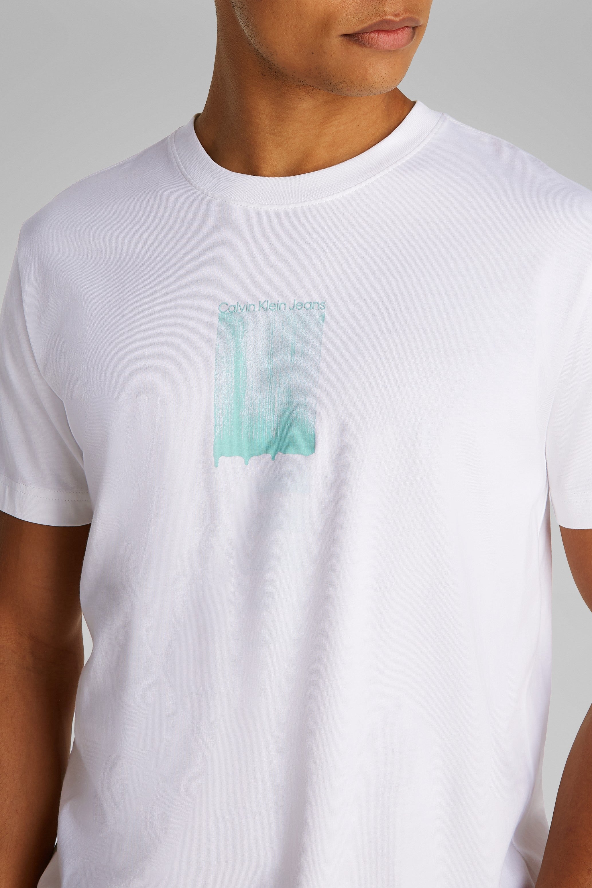 Calvin Klein Bush Stroke Graphic T-Shirt