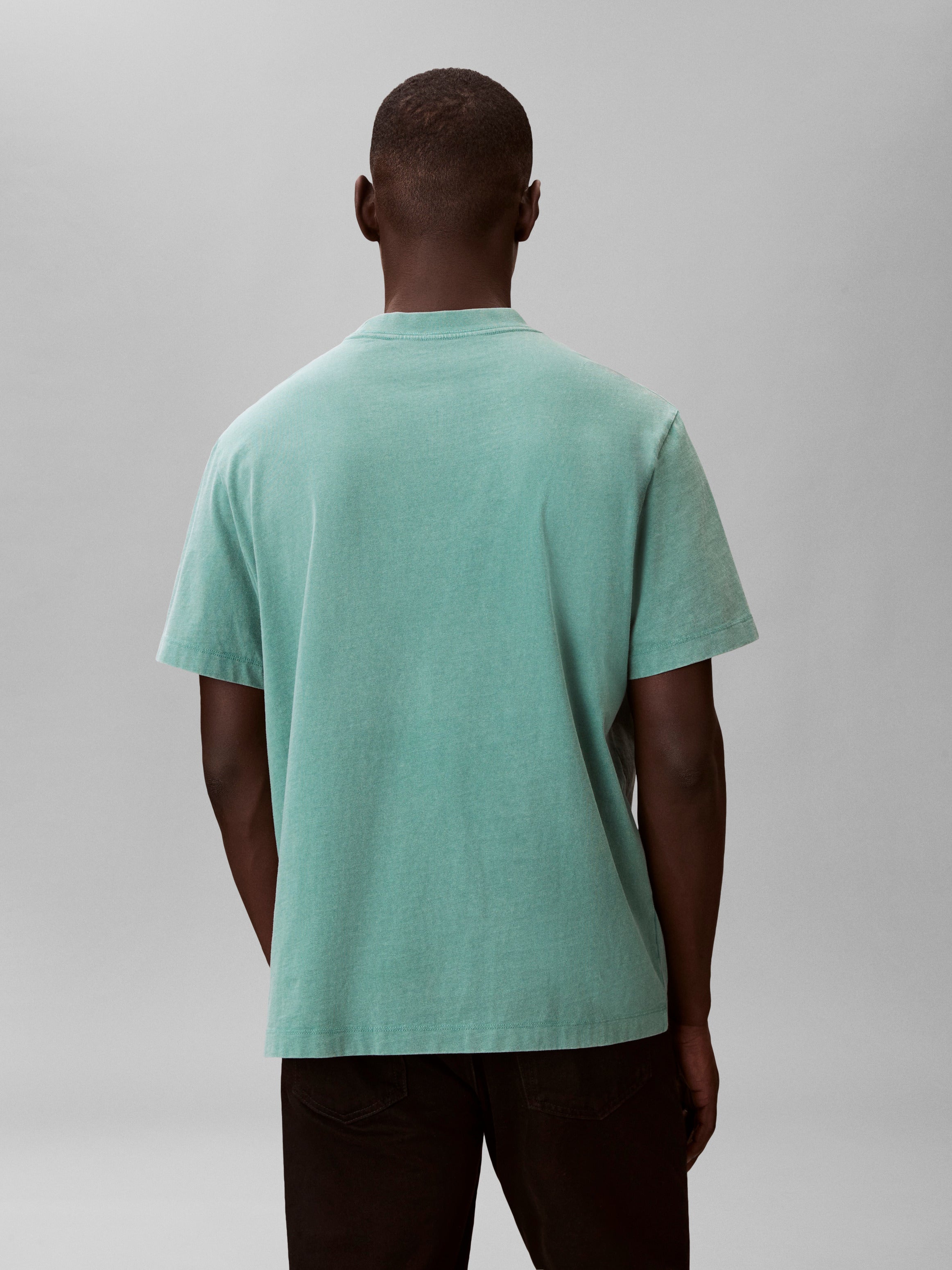 Calvin Klein Acid Wash Logo T-shirt RB824