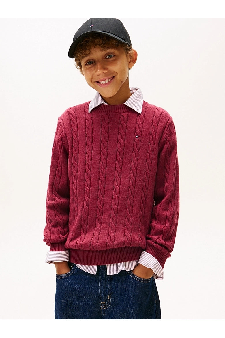 Tommy Hilfiger Kids Cable Knit Jumper