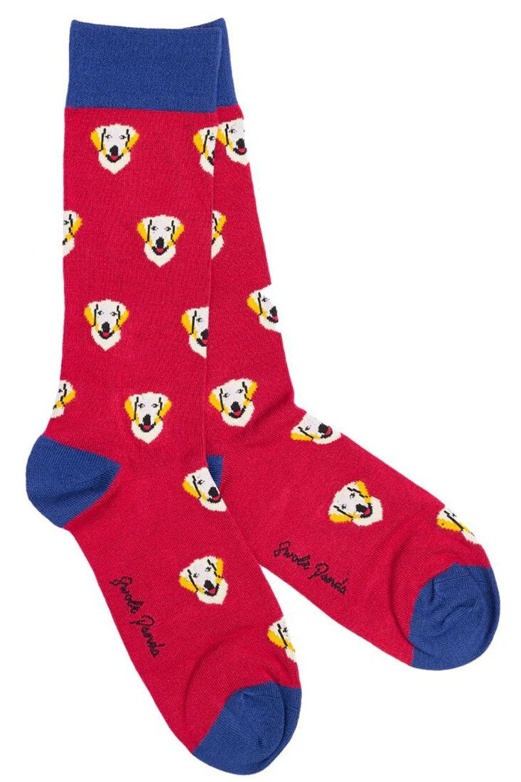 Swole Panda Golden Retriever Bamboo Socks SP444