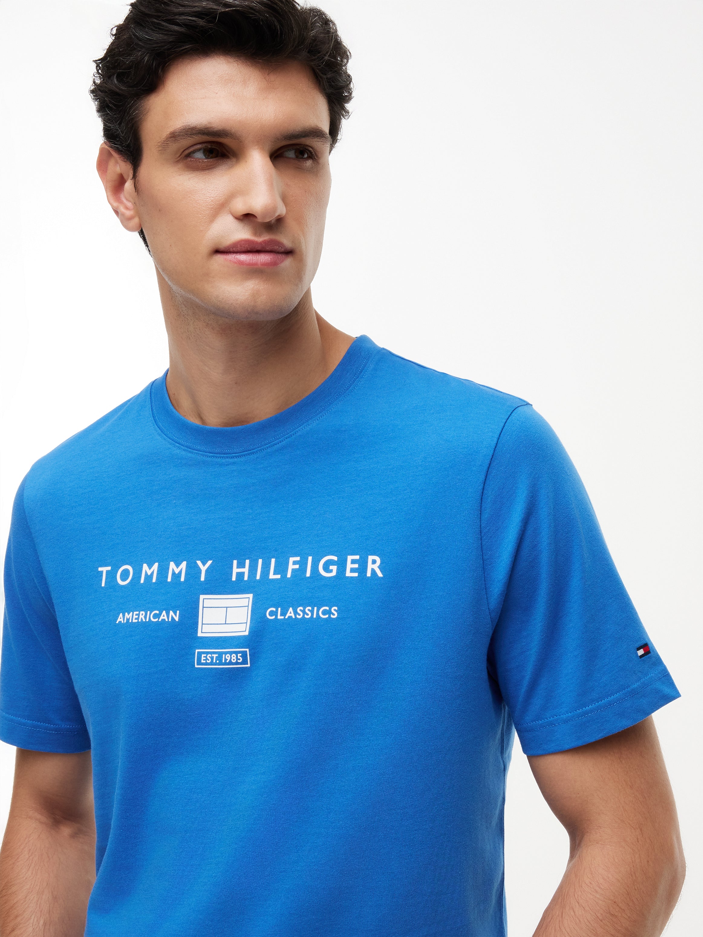 Tommy Hilfiger Brand Love Logo T-Shirt 42365