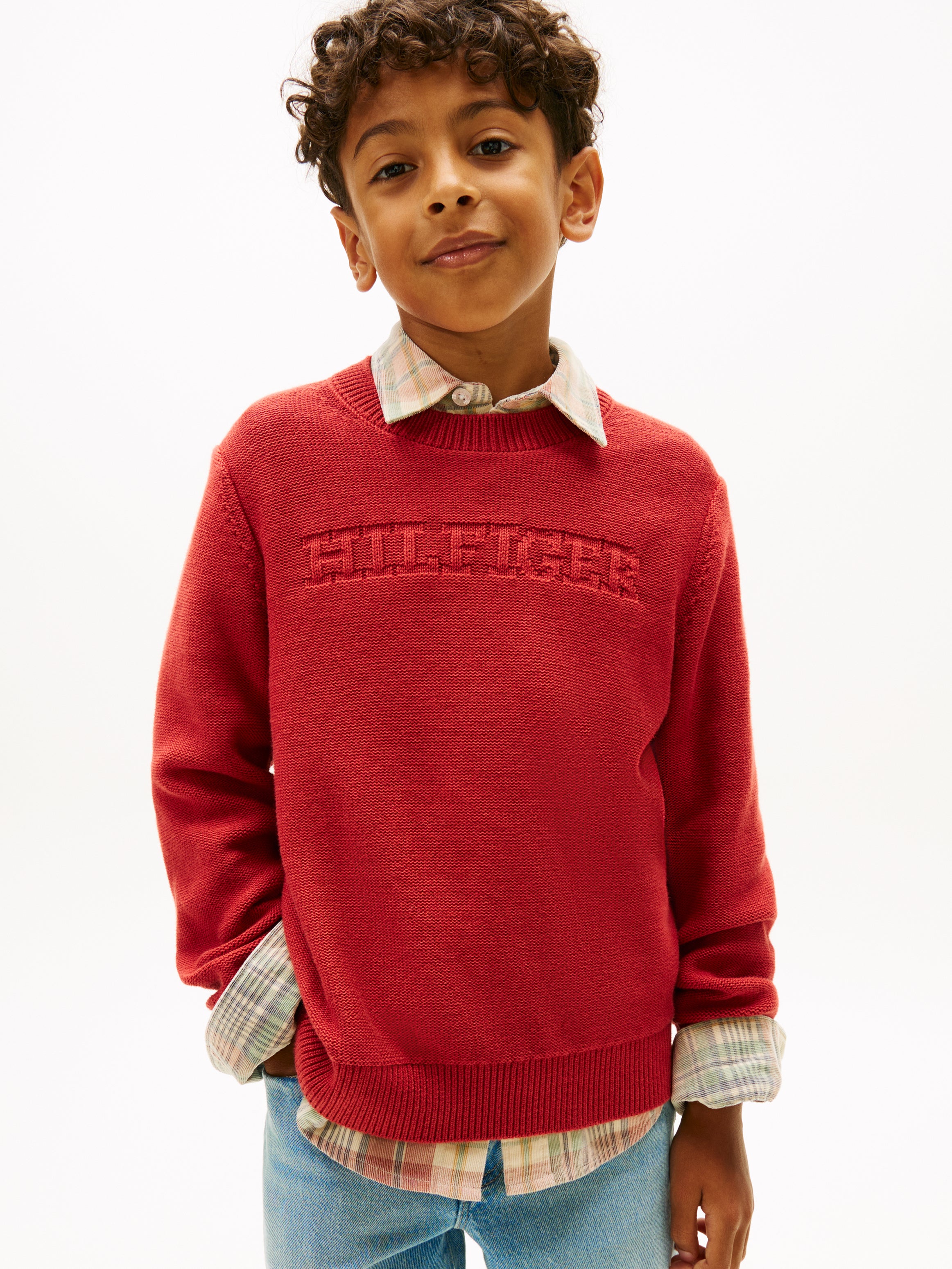 Tommy Hilfiger Kids Graphic Crew Knit